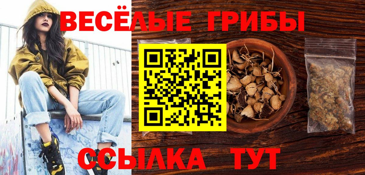 Псилоцибиновые грибы Psilocybe  Галлюциногенные грибы Cubensis  Сосновый Бор  Вход с VPN 