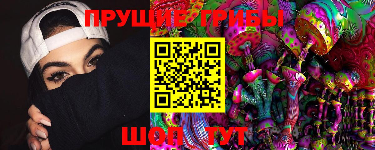 Псилоцибиновые грибы Psilocybe Сосновый Бор