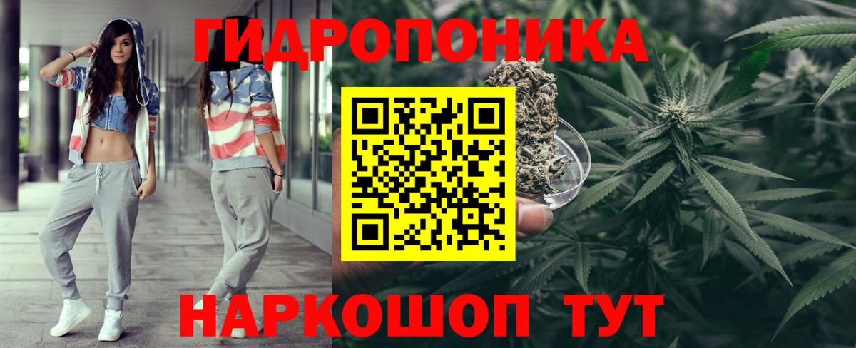 Марихуана гибрид Сосновый Бор
